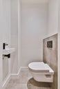Stunning bathroom design with hanging toilet