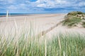 Holkham beach behind dune grass Royalty Free Stock Photo