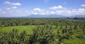 Stunning beautiful landscape aerial view of Bali rice field and jungle palm tree farm with volcano Agung in the background in agri Royalty Free Stock Photo