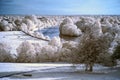 Stunning beautiful unique infra red landscape with false color Royalty Free Stock Photo