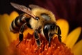 A stunning Bee collecting nectar from flower