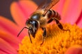 A stunning Bee collecting nectar from flower