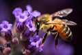 A stunning Bee collecting nectar from flower