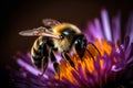 A stunning Bee collecting nectar from flower