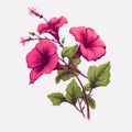 Colorful Pink Hibiscus Vector Illustration With Organic Material Style Royalty Free Stock Photo