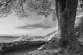Beautiful black and white landscape image of Sycamore Gap at Had