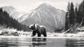Stunning Black And White Photo: Grizzly Bear Walking By Frozen Alpine Lake