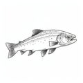 Stunning Black And White Trout Illustrations With Bold Chromaticity Royalty Free Stock Photo