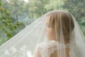 Stunning blond bride under a white lacy wedding veil Royalty Free Stock Photo