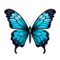 Stunning Blue Butterfly With Black Wings - Realistic Stylized Vector Art Royalty Free Stock Photo