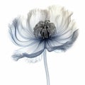 Hyperrealistic 3d X-ray Illustration Of A Majestic Blue Flower Royalty Free Stock Photo