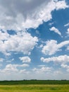 Stunning blue sky with billowing white clouds hovering above a lush field of green grass Royalty Free Stock Photo