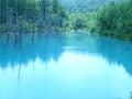 Stunning blue water of Blue Pond or Shirogane Aoi Ike in Biei, Hokkaido