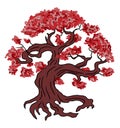 Stunning Bonsai Tree Illustration: A Delicate and Serene Addition to Your Home Royalty Free Stock Photo