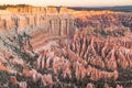 The Stunning Bryce Canyon Bowl In All Its Glory At Sunrise, Amazing Limestone Hoodoo With Various Shades Of Oranges And Reds