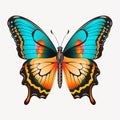 Stunning Butterfly Collection Graceful Flutter