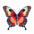 Stunning Butterfly Collection Graceful Flutter