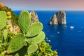 Stunning Capri island with Faraglioni cliffs,Italy,Europe Royalty Free Stock Photo