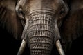 Stunning Close-up of African Elephant. Amazing African Wildlife. Generative Ai