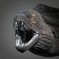 Fearsome Moray Eel with Open Jaws Royalty Free Stock Photo