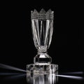 Shimmering Crystal Trophy in the Spotlight
