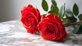 Radiant Red Roses on White Marble