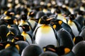 Stunning Close-up of a King penguin colony. Amazing Wildlife. Generative Ai