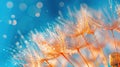 Delicate Dandelion Macro on Blue Background