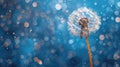 Delicate Dandelion Detail against Blue Background