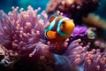Vibrant Clownfish and Anemones in Crystal Clear Waters Royalty Free Stock Photo