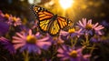 Graceful Monarch Butterfly on Delicate Pink Daisy in Lush Garden