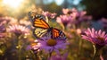 Graceful Monarch Butterfly on Delicate Pink Daisy in Lush Garden