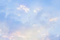 Stunning clouds and flock of birds in the bright sky