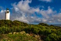 A stunning coastal walk following the cliff edge, past rugged coastal scenery, a seal