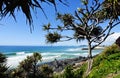 Stunning coastline ocean, waves, surf, palm trees, beach background Royalty Free Stock Photo