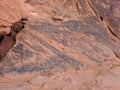 Collection of ancient petroglyphs of in Valley of Fire Nevada