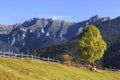 Stunning colorful autumn alpine landscape with green fields and high mountains, Bran, Transylvania, Romania Royalty Free Stock Photo