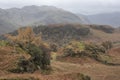 Stunning colorful Autumn landscape image of view from Castle Crag towards High Stile and Glaramara in Lake District Royalty Free Stock Photo