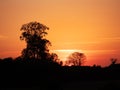 Stunning colorful sunset sky over a forest silhouette. Warm and cool color. Beautiful nature scene. Calm and relaxing mood and Royalty Free Stock Photo