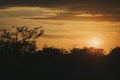 Stunning colourful warm sunrise over tress in silhouette in Etosha national park, Namibia