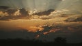 Stunning colourful warm sunrise over tress in silhouette in Etosha national park, Namibia