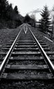 Stunning Columbia River Gorge in Oregon, featuring a winding railroad track Royalty Free Stock Photo