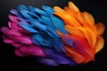 stunning composition with colorful feathers on a black background