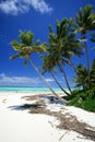 Stunning Cook islands Lagoon
