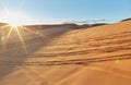 The stunning Coral Pink Sand Dunes State Park in southern Utah Royalty Free Stock Photo