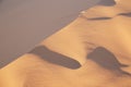 The stunning Coral Pink Sand Dunes State Park in southern Utah Royalty Free Stock Photo