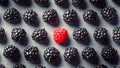 Perfectly Raw, Fresh, Healthy, Nutritious, Flavorful, Delicious and Organic Blackberries and a Raspberry Royalty Free Stock Photo