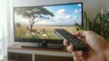 Holding a TV Control Remote Switching Channels Turning On a Television to Play a Wildlife Documentary, Nature Animal Programs Royalty Free Stock Photo