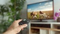 Holding a TV Control Remote Switching Channels Turning On a Television to Play a Wildlife Documentary, Nature Animal Programs Royalty Free Stock Photo