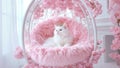 A Beautiful Girly White Kitty Cat Princess Wearing a Royal Crown on a Luxurious Fluffy Flowery Pink Floating Chair Royalty Free Stock Photo